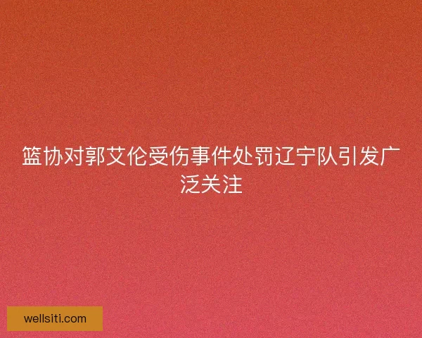 篮协对郭艾伦受伤事件处罚辽宁队引发广泛关注
